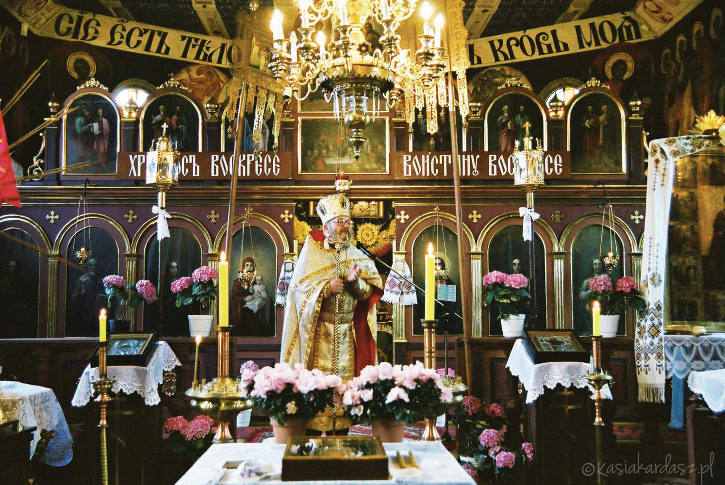 fotografia rodzinna, sesja ślubna, fotografia komunijna, komunia, ślub, chrzciny