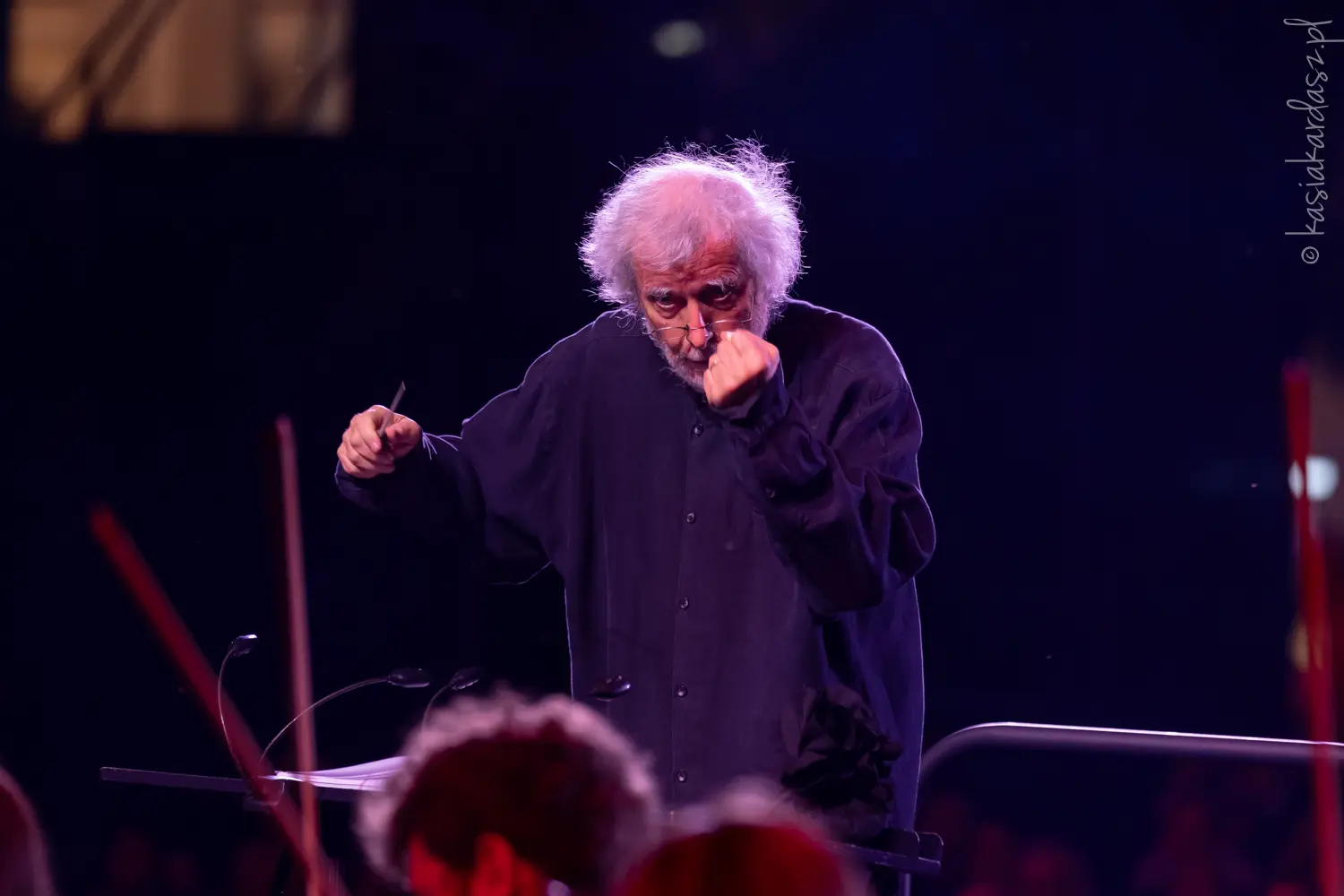 Na scenie można było podziwiać Joannę Kulig, Jolantę Majchrzak, Justynę Schneider, Daniela Olbrychskiego, Marcina Przybylskiego, Olka Różanka, Tadeusza Woźniaka, Zespół Rocka Progresywnego pod kierownictwem Marka Raduli oraz zespół Sinfonia Varsovia pod batutą Wojciecha Michniewskiego.